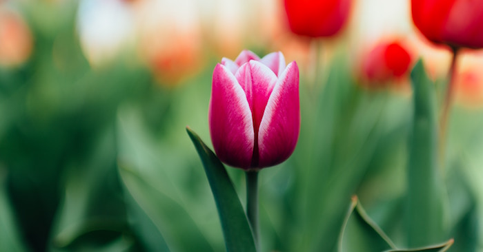 Your business is different. Here’s how to create content for it. Guest Post By Ian Brodie