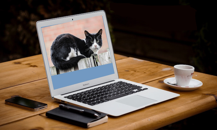 How To Use Storytelling Strategically To Build Relationships And Collect A Fan Club