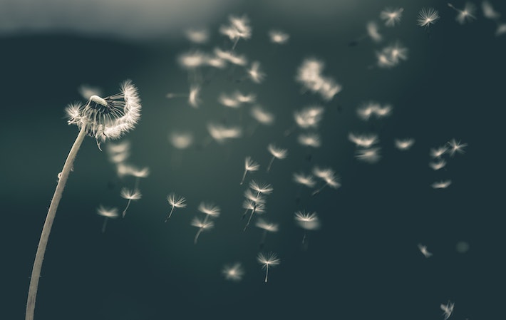 Will your marketing message go viral? Here’s how to tell …