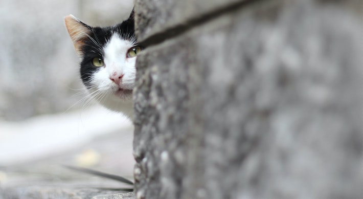 How Copywriting Sneaks You To Success