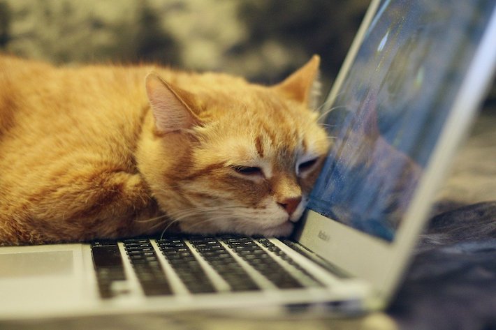 Are You Rewarding a Lazy Copywriter?