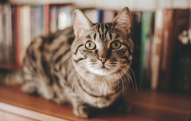 The right way to share a story that supports your personal brand: a mini case study