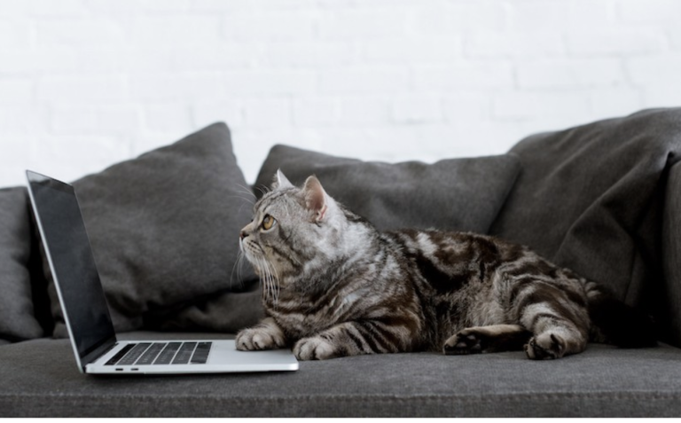 Make Your Marketing More Productive With These 3 Storytelling Tips