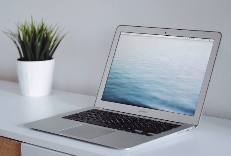 Online Marketing: Brand vs. URL