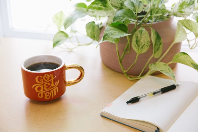Starting a business on a shoestring and a vision