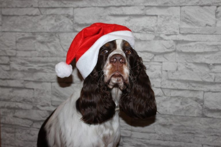 Beware of false Santas bearing pseudo-gifts