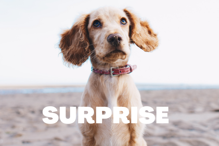 Surprised at their reaction to your story? Here’s why…