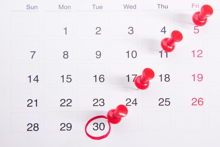 Business Decision Guide For The Solopreneur: The Impact of Timing For Productivity